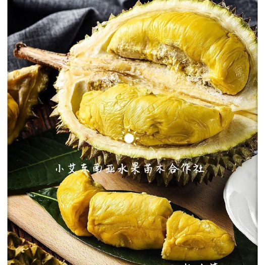 龙州县干尧榴莲苗 干尧榴莲大苗 1.5-2.0 产地直供 品质保证 苗好价优