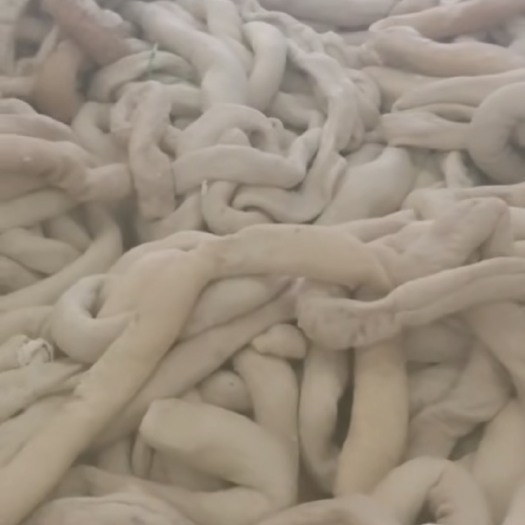 阳信县牛肠