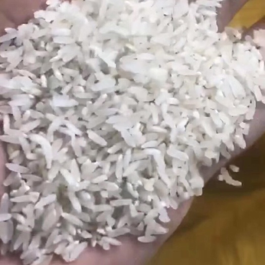 北海 农家自种煮饭香米