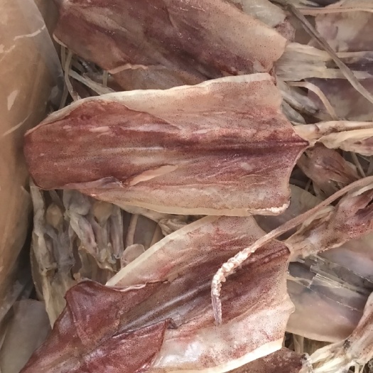 东山县东山各种规格鱿鱼干/品质保证/价格合理批发来谈