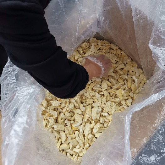 厦门榴莲干  冻干榴莲