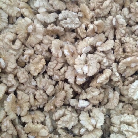 巍山县云南核桃 用心做好每一个仁，质量保证，诚信经营