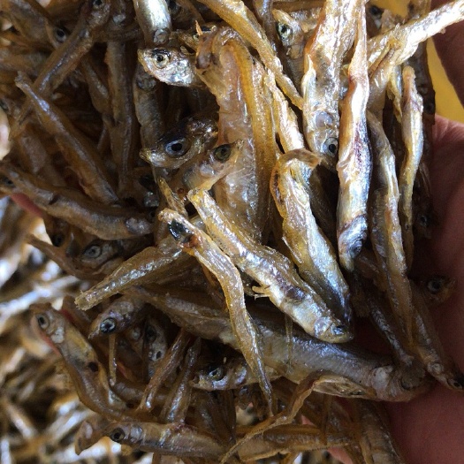沭阳县公干鱼 洪泽湖干鱼