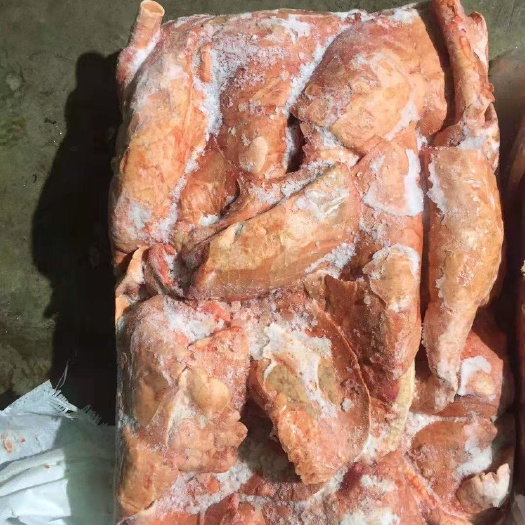 嵩明县 10公分带管猪肺，食品级，手续齐全