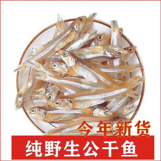 银鱼干小鱼干白饭鱼干货海燕青鱼水晶鱼白公鱼干海鲜