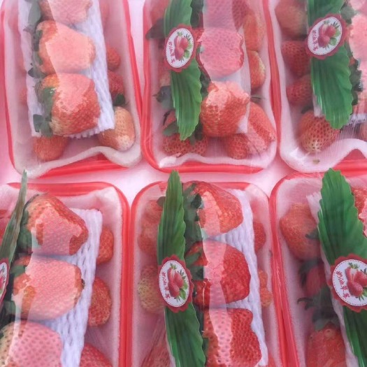 徐州 全品种草莓，支持一件代发