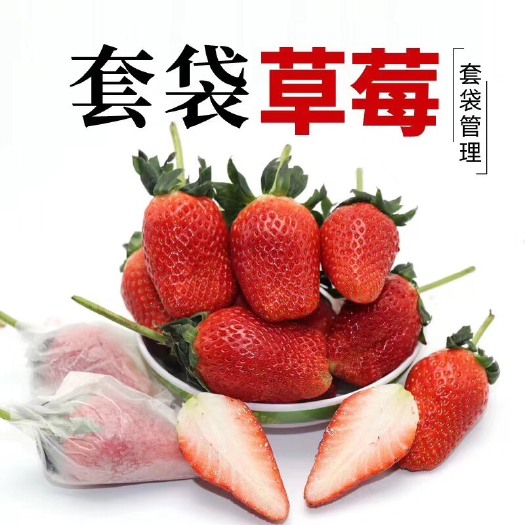 平度市甜宝草莓  平度草莓，北纬37度，基地种植，品质好，口感佳，批发零售。