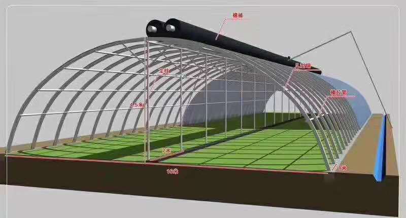  蔬菜大棚8米6米宽镀锌钢管大棚带卷膜通风大棚