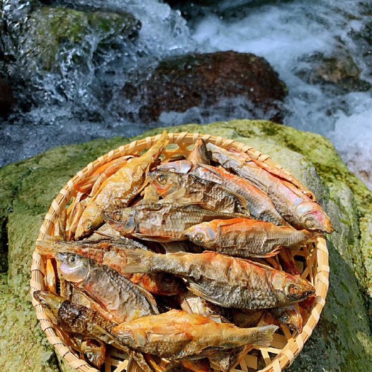荔浦市溪石斑鱼干，马口鱼干（碳烤）