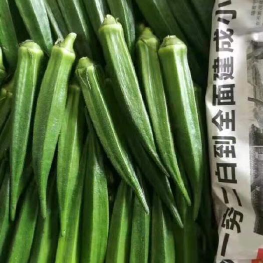 成都水果秋葵   海南秋葵