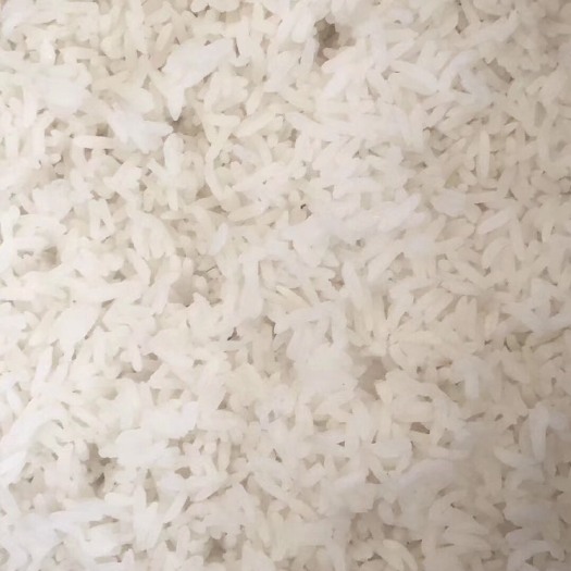 北海 自家种植的绿色大米