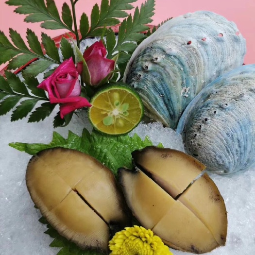 深圳 新西兰蓝鲍 6-8头鲍鱼 500克