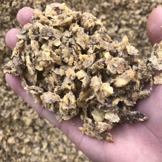 利津县 全脂熟化大豆饲料