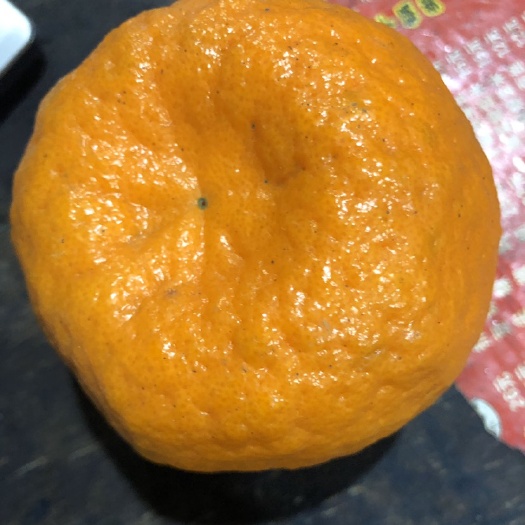 椪柑  橘子，好货，特等果