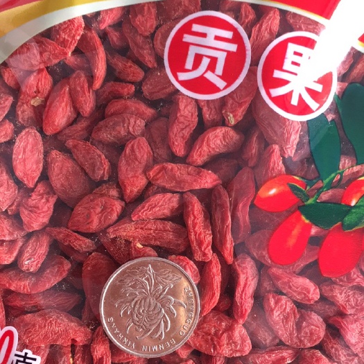 樟树市红枸杞 特优级