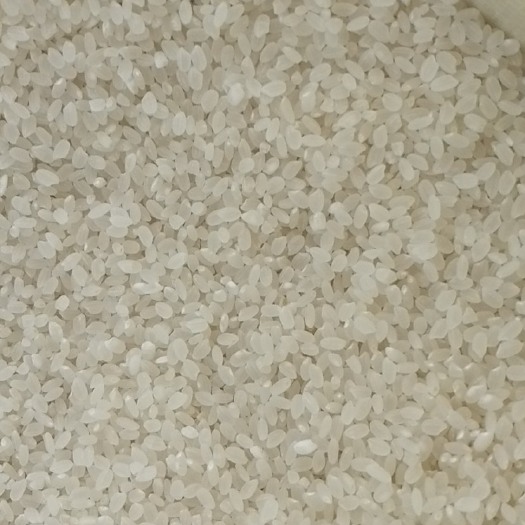 高山生态大米 一等品 中稻 籼米