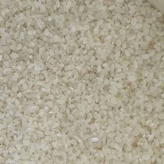 杭锦旗高山生态大米 一等品 中稻 籼米