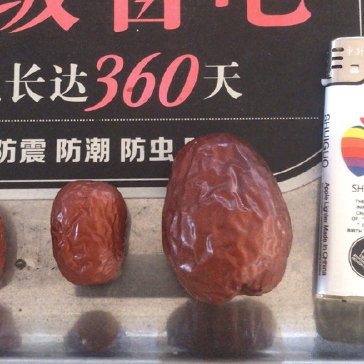 东海县哈密大枣 一级