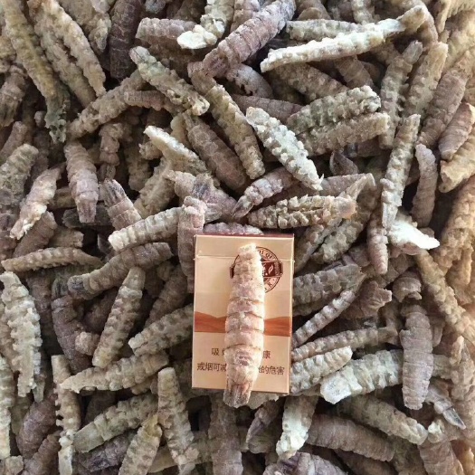 皮皮虾肉 熟冻单条皮皮虾大肉8厘米以上小肉5-8厘米