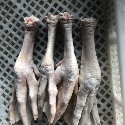 临朐县鹅脚 鹅掌