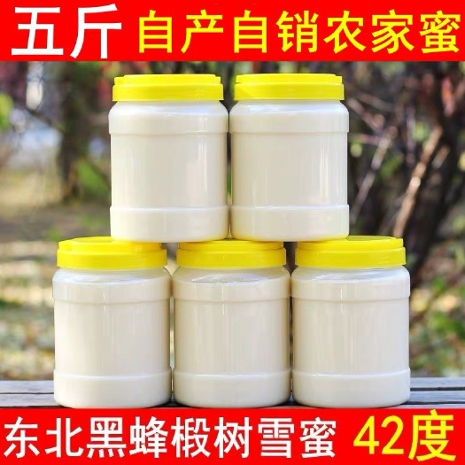 敦化市 五斤装蜂蜜纯正天然农家自产椴树蜜长白山雪蜜野生土蜂蜜滋补