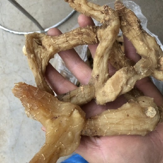 宜昌 神农架纯鸡头黄精全干货