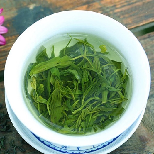 云雾茶  新茶500克 英德绿茶 英州一号正手工绿茶