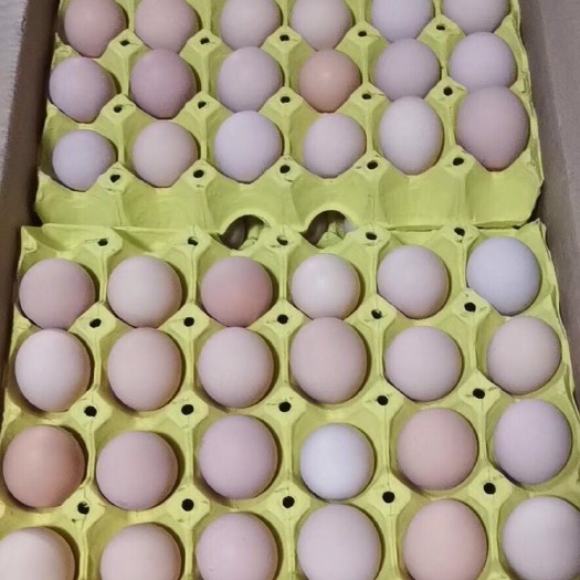 东台市土鸡蛋 食用 箱装