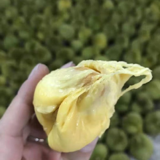 凭祥市 新鲜巴掌青皮干尧，榴莲味浓郁