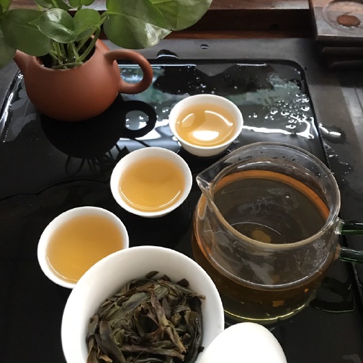 潮州 凤凰单丛茶，花香型。