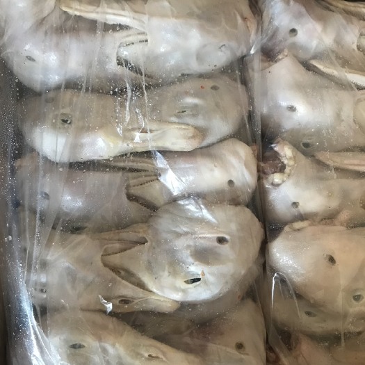 临朐县 精品鹅头