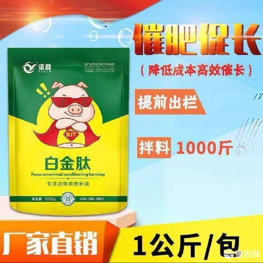 郑州 白金肽 育肥猪催肥专用 三天采食量增加 提前20天左右出栏