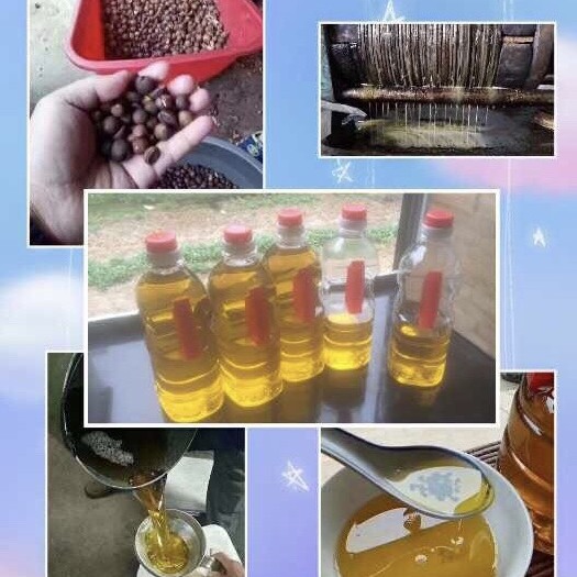 建瓯市压榨山茶油