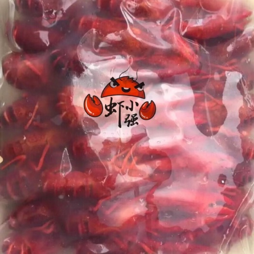 广州冰冻清水小龙虾789 两虾 多规格 发货