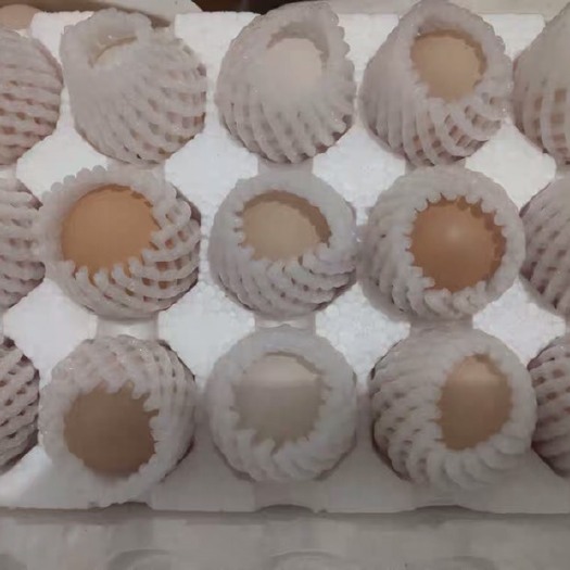 盐津县 散养乌鸡鸡蛋