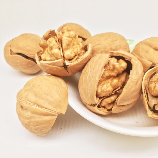 平邑县 核桃苗嫁接新品种，薄皮核桃，树苗当年结果南北方种植