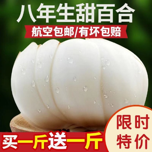 兰州 兰州百合新鲜百合鲜百合甜百合食用百合新鲜蔬菜口感甜糯现挖特级