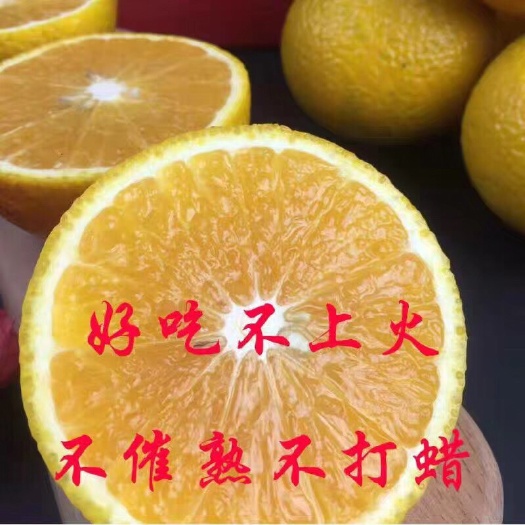 南平福建建阳桔柚新鲜水果甜橘柚当季孕妇桔子
