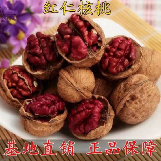 平邑县 美国红仁核桃 红皮核桃树苗 红仁核桃苗 紫皮核桃果树苗当年结