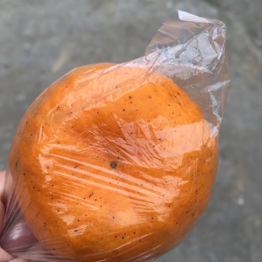 荣县 椪柑大量上市