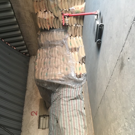 邳州市黄大豆 生大豆 1等品