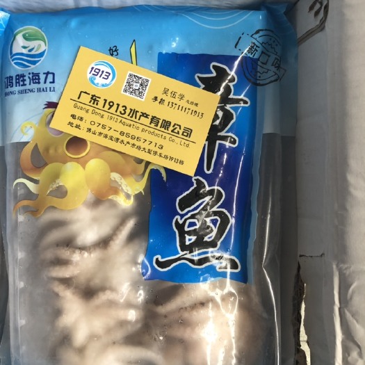 佛山 冰冻章鱼