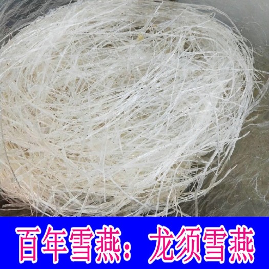 昆明 彝山香大货批发龙须雪燕拉丝1米植物雪燕食材产地直供诚