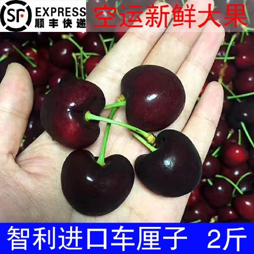 广州 现货智利车厘子新鲜水果大樱桃双J大果极速发货顺丰空运