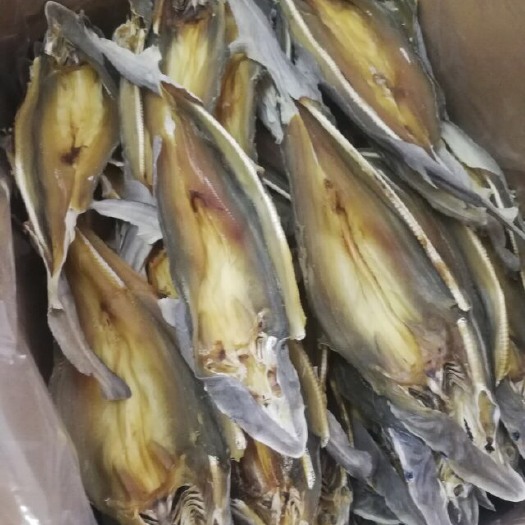 北海小鱼干 产于广西省北海深海鱼干