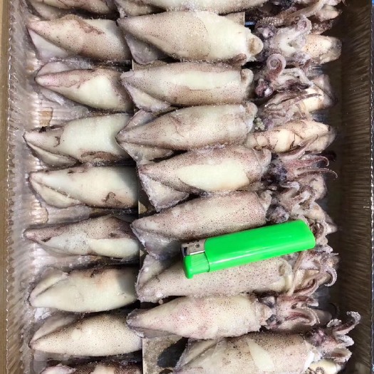 青岛冻笔管鱼