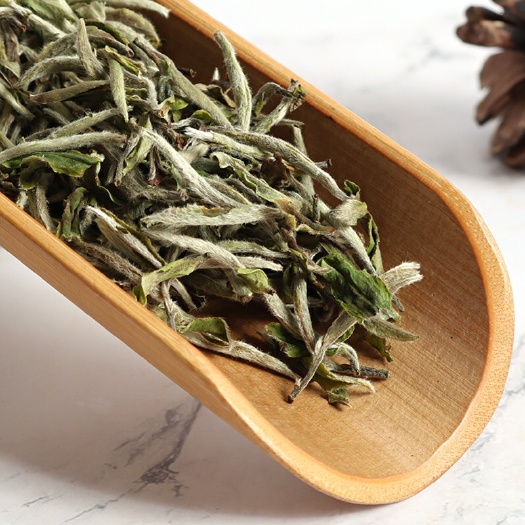武夷山市 政和白茶牡丹王厂家直销春茶叶片小丫头肥壮花香明显大量批发包邮