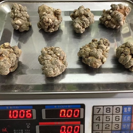 春七云南文山8头 10头  12头 13头各类三七王大头子