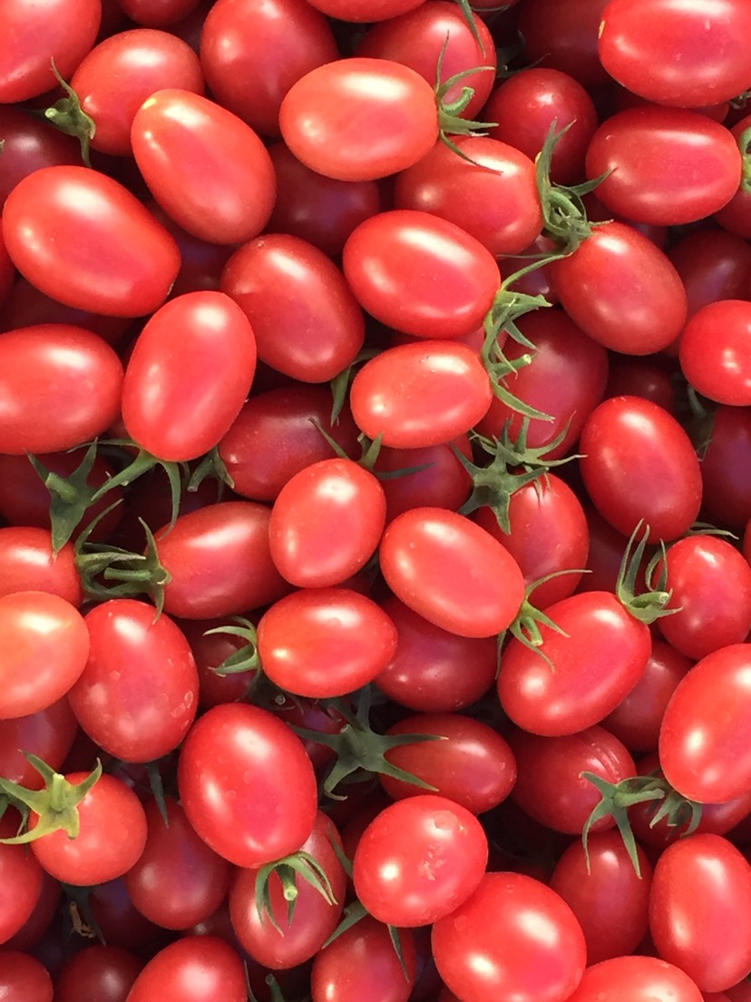 新圣女 产地自产自销