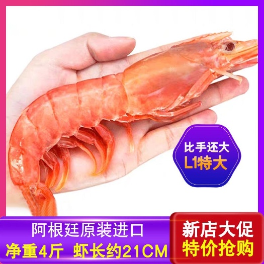 烟台 阿根廷红虾L1红虾船冻海捕特大冻虾海虾冰虾鲜活冷冻海鲜